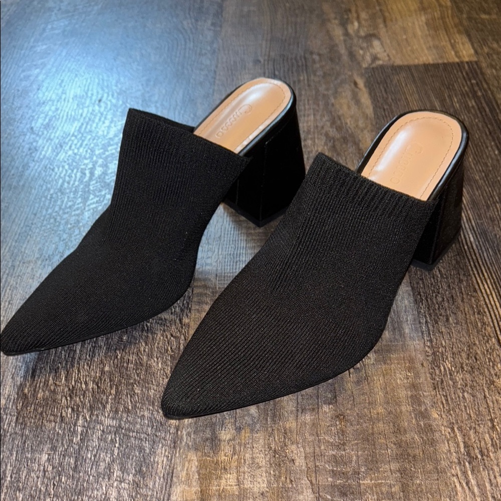 Pointed toe chunk heels